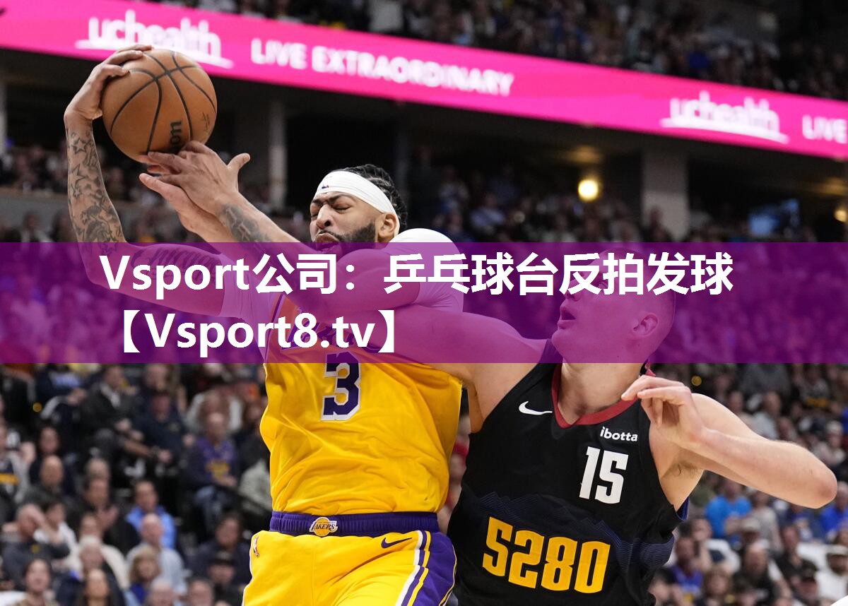 Vsport公司：乒乓球台反拍发球