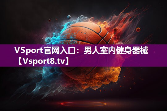 VSport官网入口：男人室内健身器械