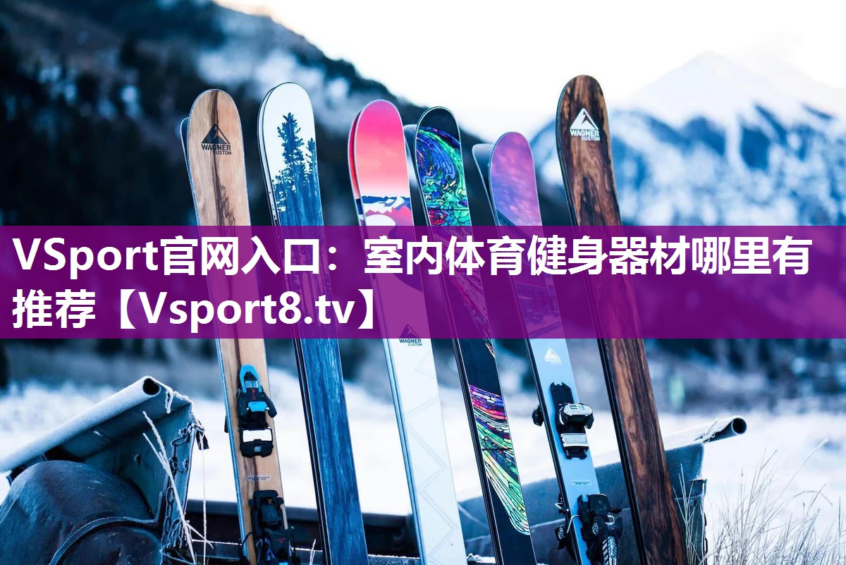 VSport官网入口：室内体育健身器材哪里有推荐