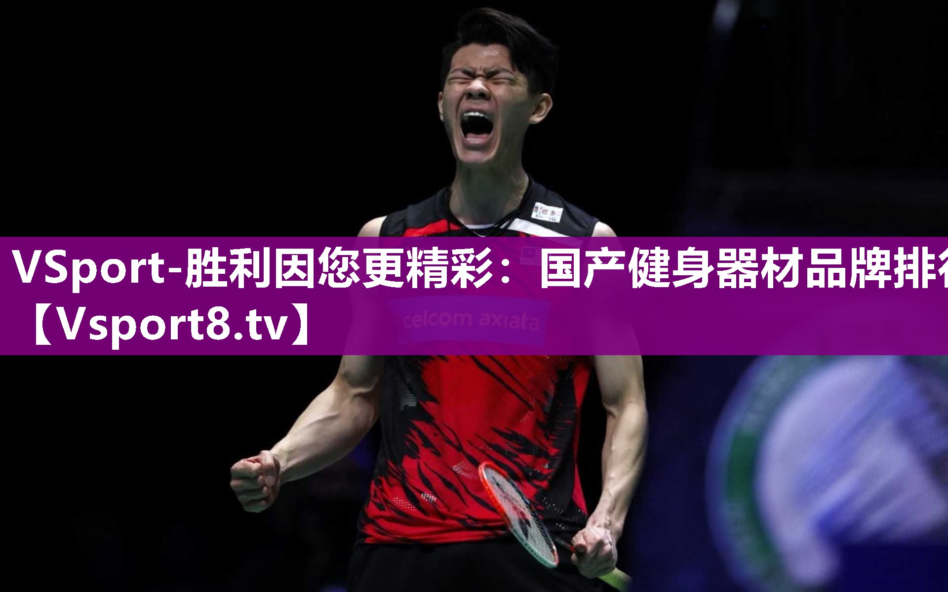 VSport-胜利因您更精彩：国产健身器材品牌排行