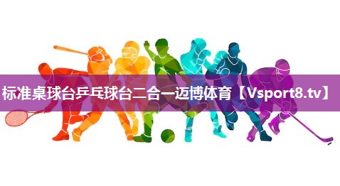 标准桌球台乒乓球台二合一迈博体育