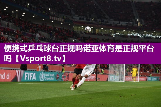 便携式乒乓球台正规吗诺亚体育是正规平台吗