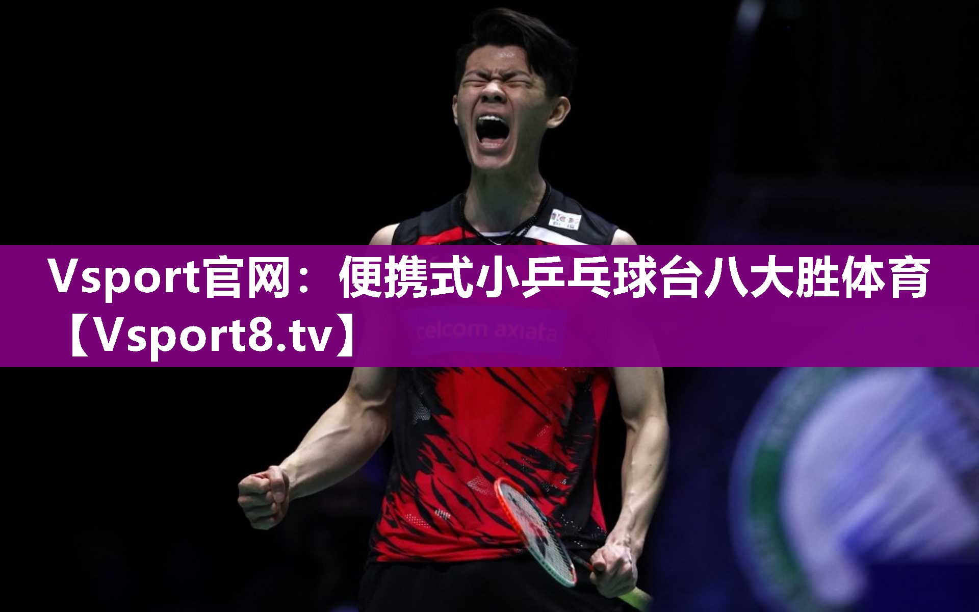 Vsport官网：便携式小乒乓球台八大胜体育