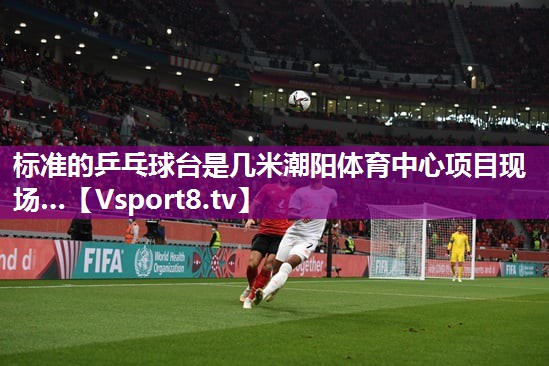 标准的乒乓球台是几米潮阳体育中心项目现场…