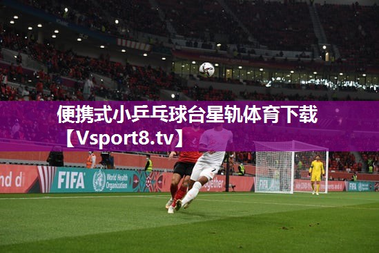 便携式小乒乓球台星轨体育下载
