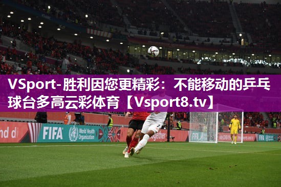 VSport-胜利因您更精彩：不能移动的乒乓球台多高云彩体育