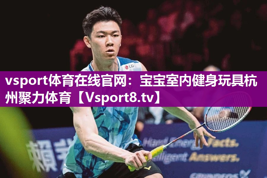 vsport体育在线官网：宝宝室内健身玩具杭州聚力体育