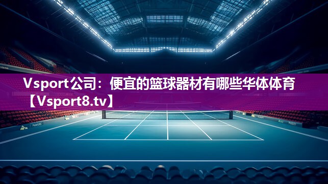 Vsport公司：便宜的篮球器材有哪些华体体育