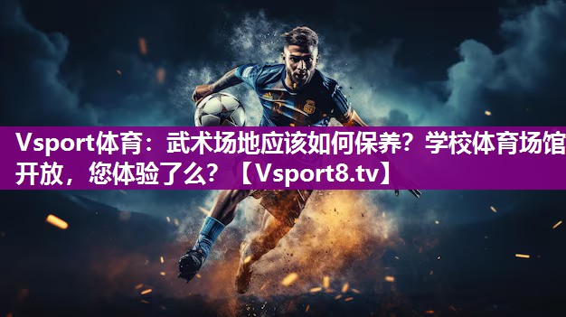 Vsport体育：武术场地应该如何保养？学校体育场馆开放，您体验了么？