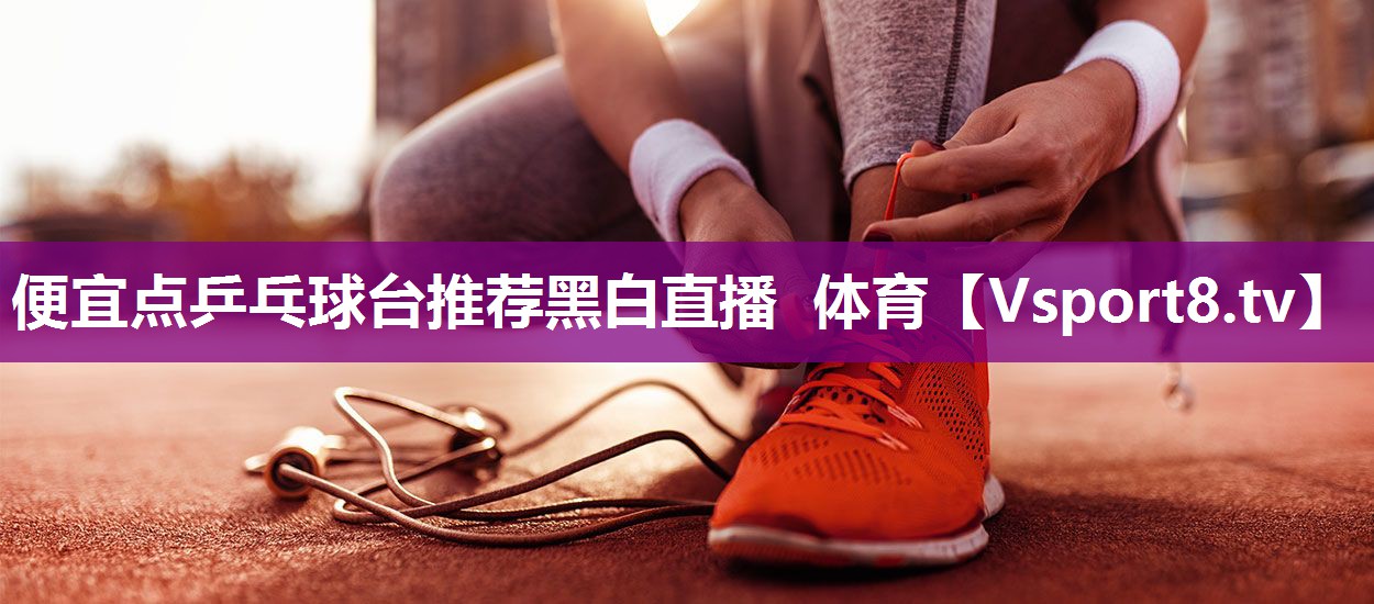 便宜点乒乓球台推荐黑白直播 体育