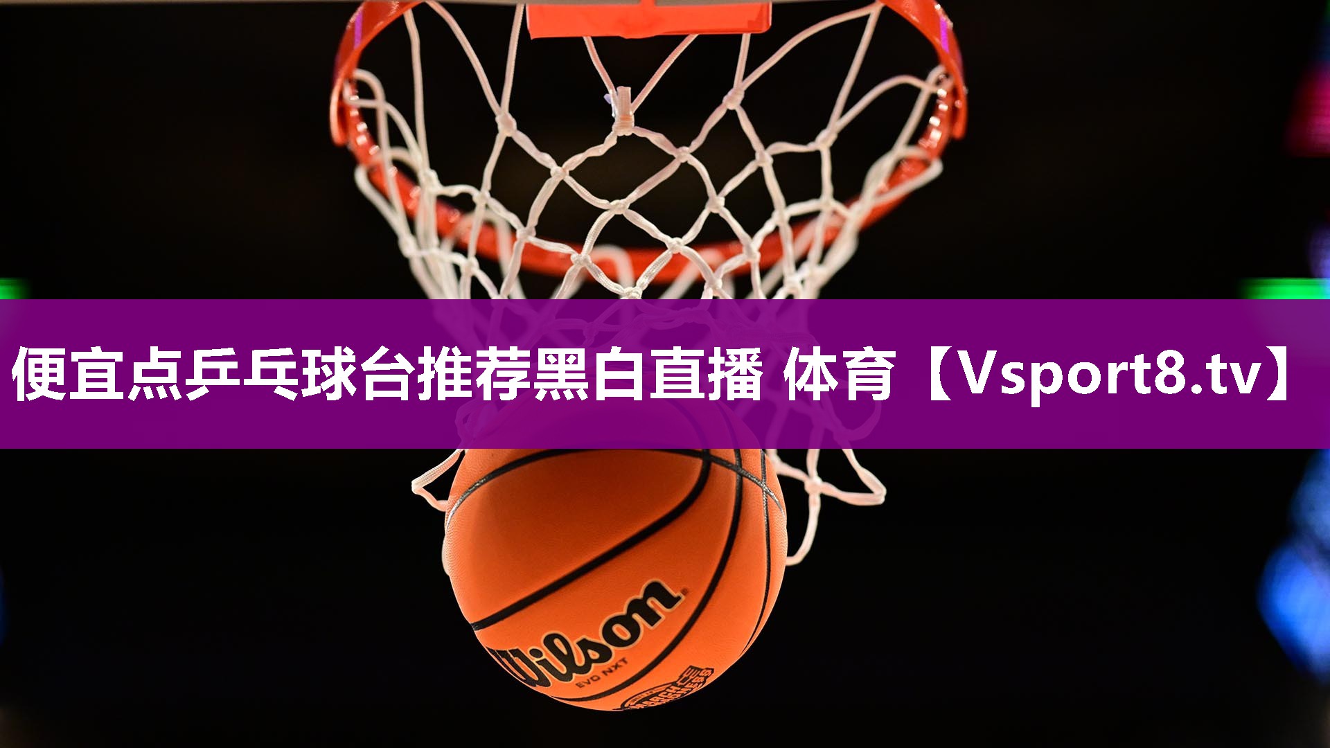 便宜点乒乓球台推荐黑白直播 体育