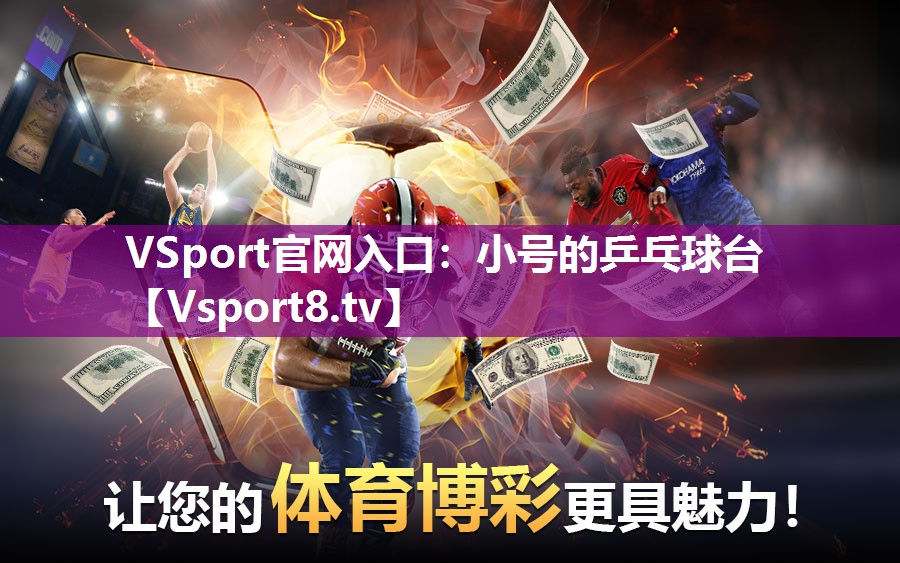 VSport官网入口：小号的乒乓球台