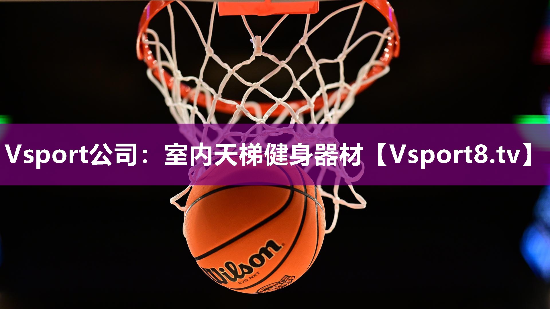Vsport公司：室内天梯健身器材