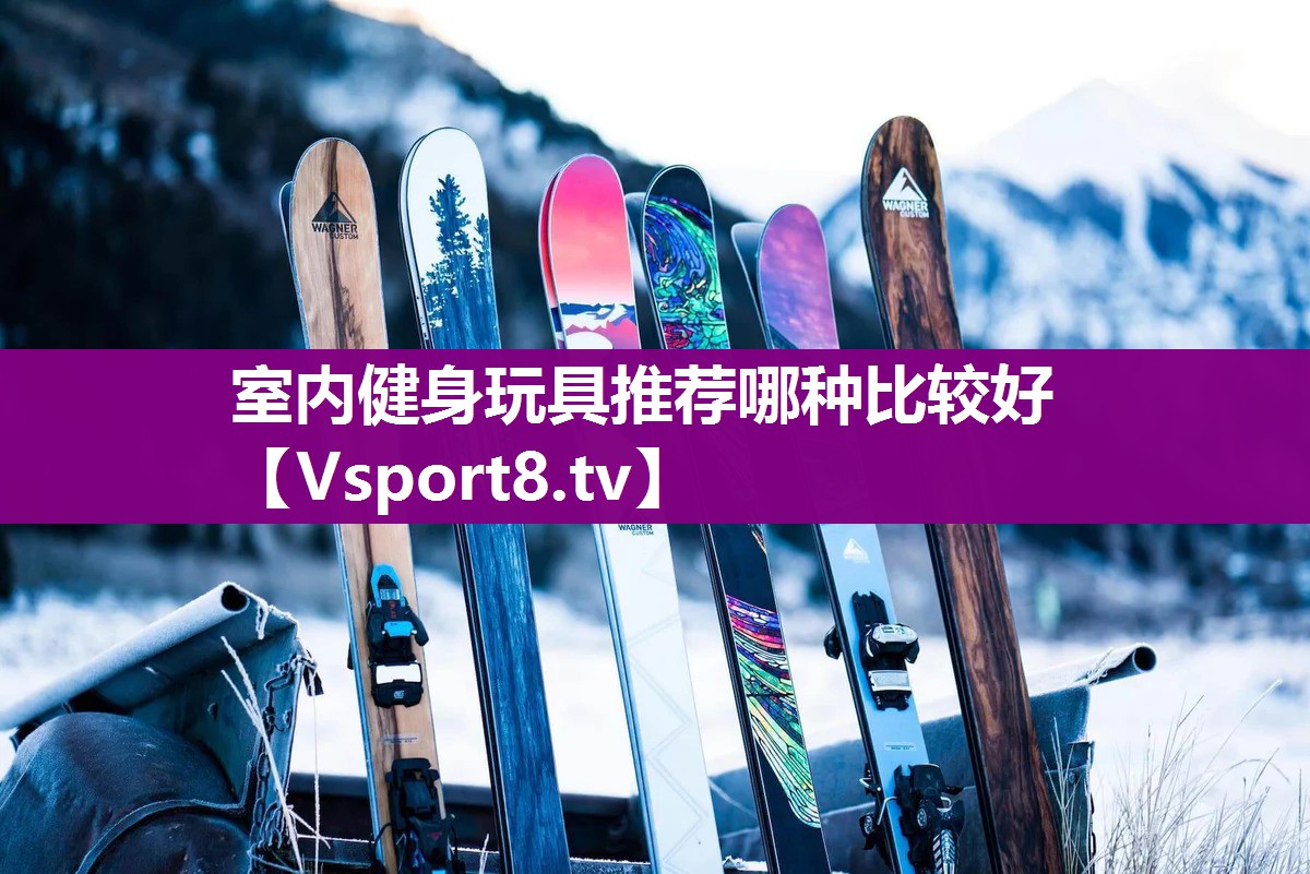 室内健身玩具推荐哪种比较好