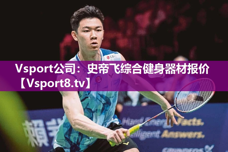 Vsport公司：史帝飞综合健身器材报价