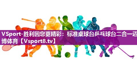 VSport-胜利因您更精彩：标准桌球台乒乓球台二合一迈博体育