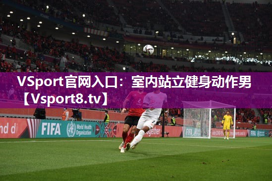 VSport官网入口：室内站立健身动作男
