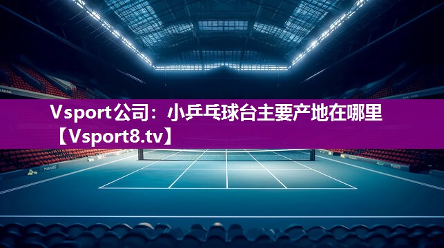 Vsport公司：小乒乓球台主要产地在哪里