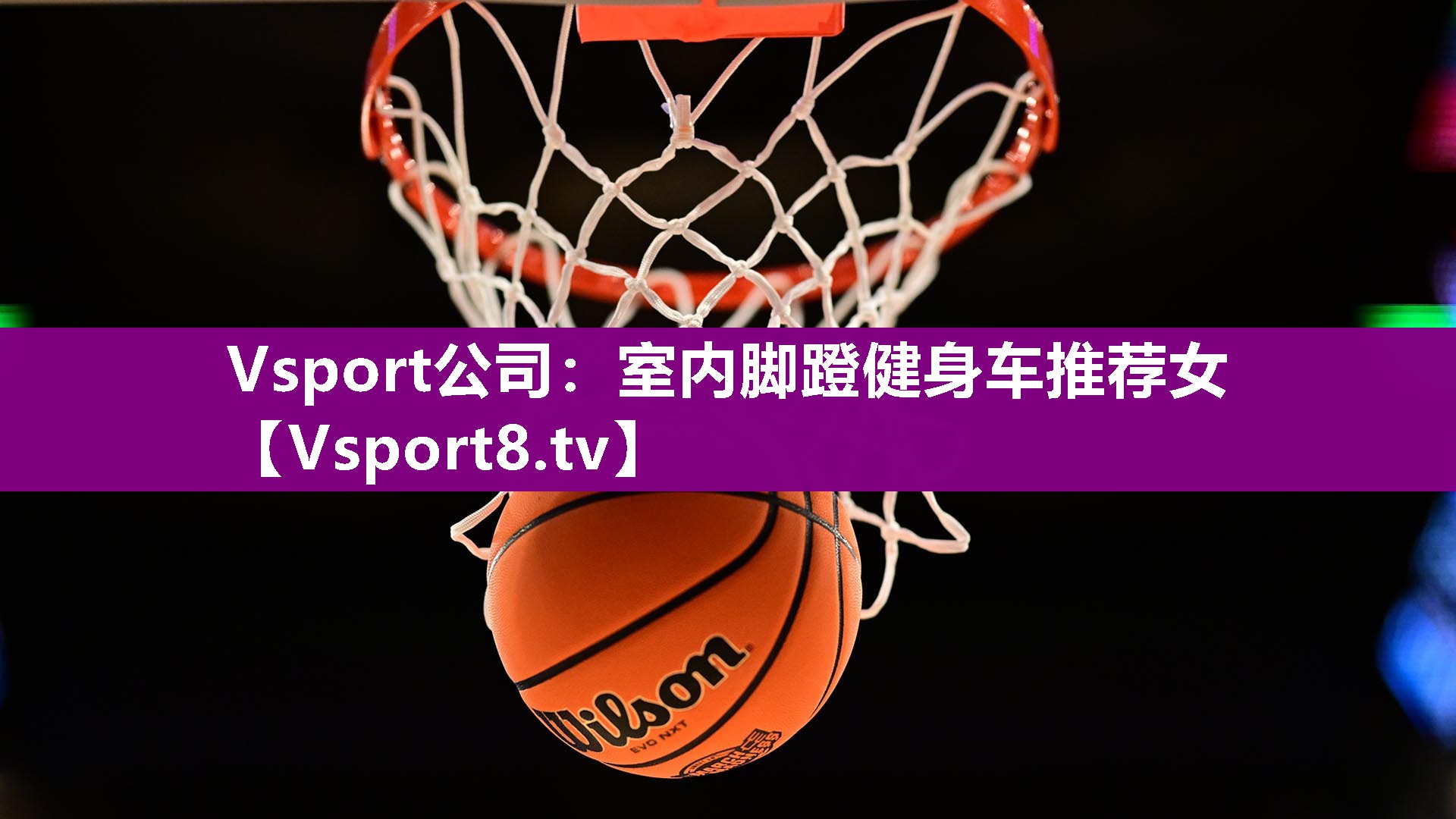 Vsport公司：室内脚蹬健身车推荐女