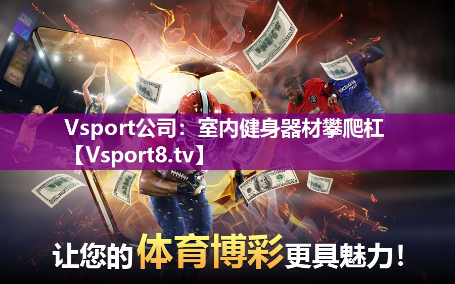 Vsport公司：室内健身器材攀爬杠