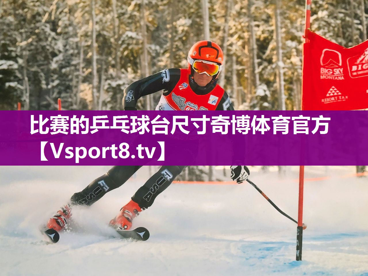 比赛的乒乓球台尺寸奇博体育官方
