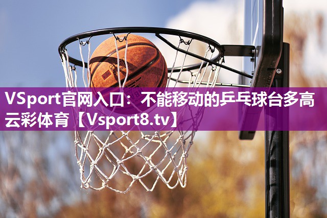 VSport官网入口：不能移动的乒乓球台多高云彩体育