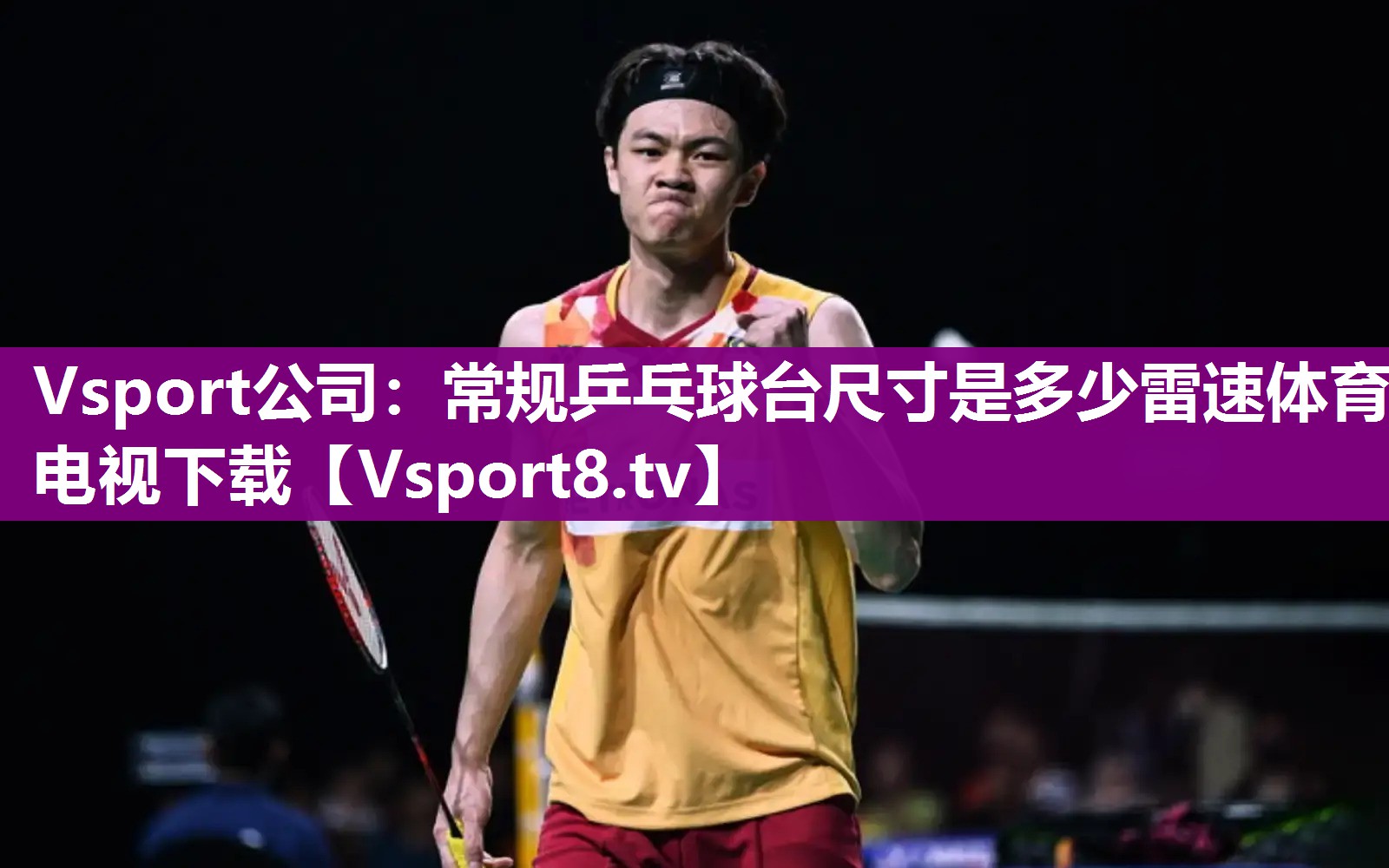 Vsport公司：常规乒乓球台尺寸是多少雷速体育电视下载