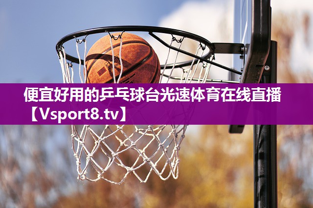 便宜好用的乒乓球台光速体育在线直播