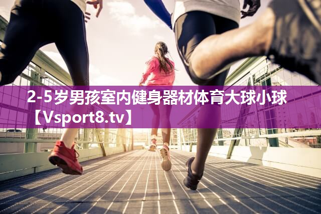2-5岁男孩室内健身器材体育大球小球
