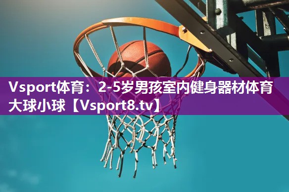 Vsport体育：2-5岁男孩室内健身器材体育大球小球