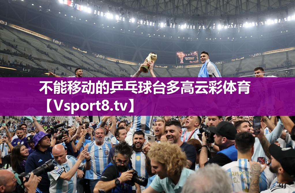 不能移动的乒乓球台多高云彩体育