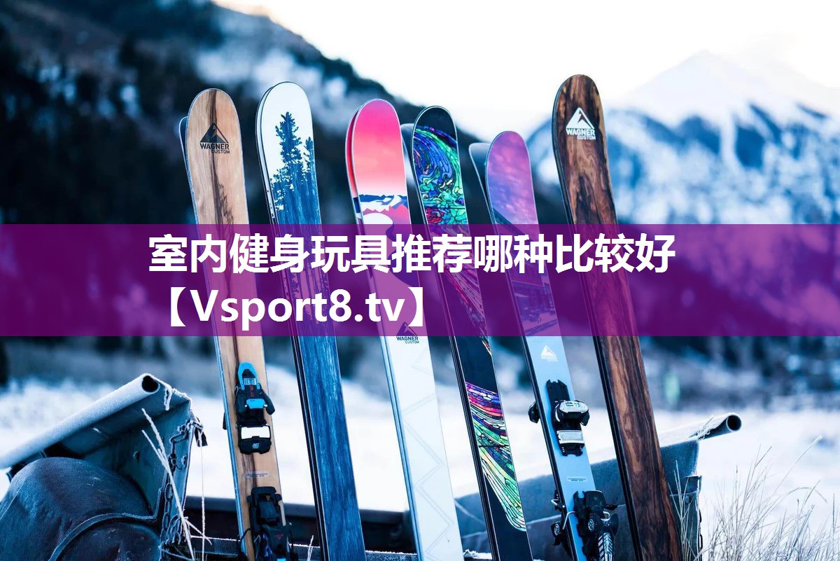 室内健身玩具推荐哪种比较好