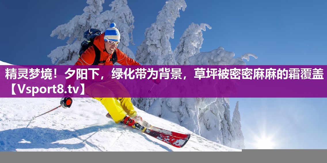 精灵梦境！夕阳下，绿化带为背景，草坪被密密麻麻的霜覆盖