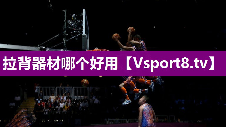 拉背器材哪个好用